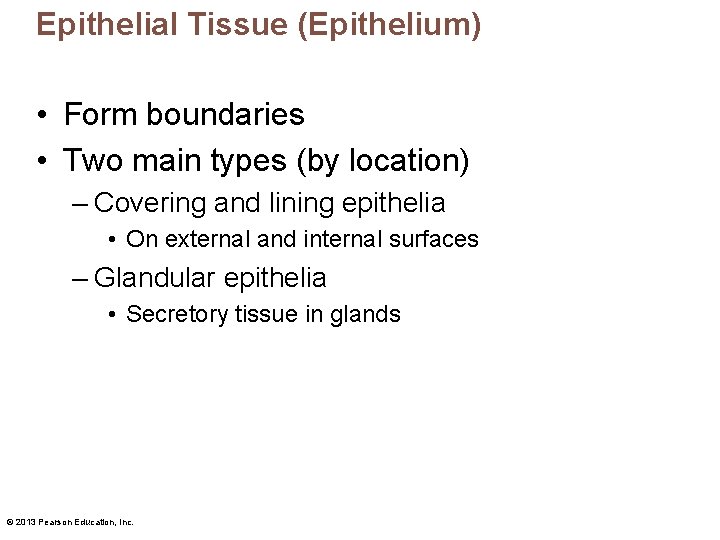 Epithelial Tissue (Epithelium) • Form boundaries • Two main types (by location) – Covering