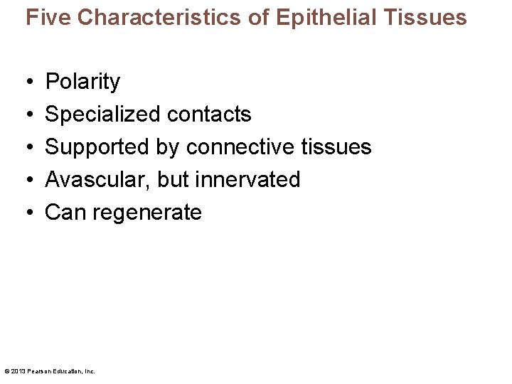 Five Characteristics of Epithelial Tissues • • • Polarity Specialized contacts Supported by connective