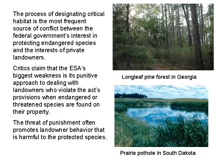 The process of designating critical habitat is the most frequent source of conflict between