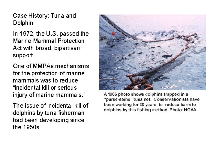 Case History: Tuna and Dolphin In 1972, the U. S. passed the Marine Mammal
