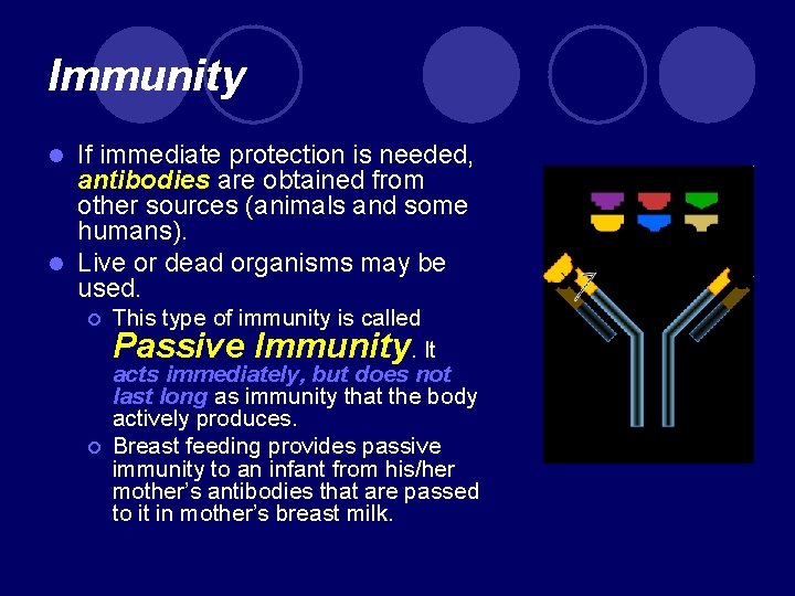 Immunity If immediate protection is needed, antibodies are obtained from other sources (animals and