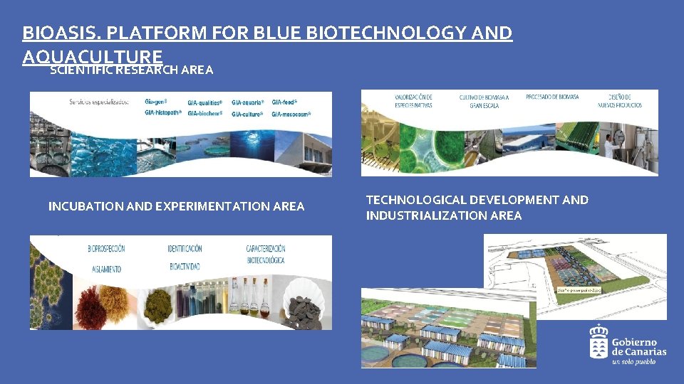 BIOASIS. PLATFORM FOR BLUE BIOTECHNOLOGY AND AQUACULTURE SCIENTIFIC RESEARCH AREA INCUBATION AND EXPERIMENTATION AREA