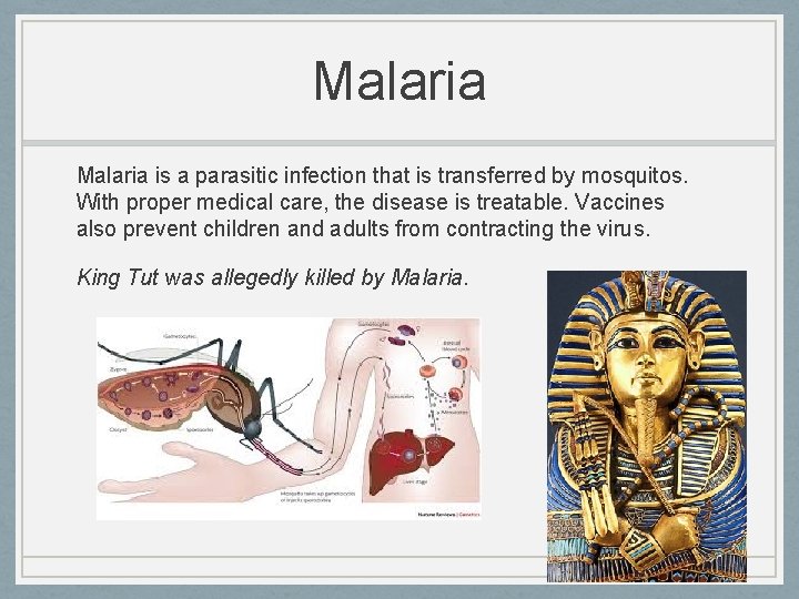 Malaria is a parasitic infection that is transferred by mosquitos. With proper medical care,