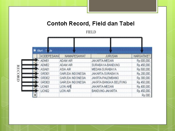 Contoh Record, Field dan Tabel 