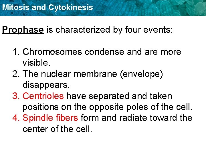 Mitosis and Cytokinesis Prophase is characterized by four events: 1. Chromosomes condense and are