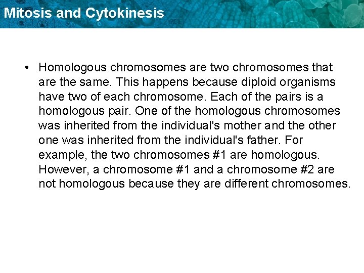 Mitosis and Cytokinesis • Homologous chromosomes are two chromosomes that are the same. This