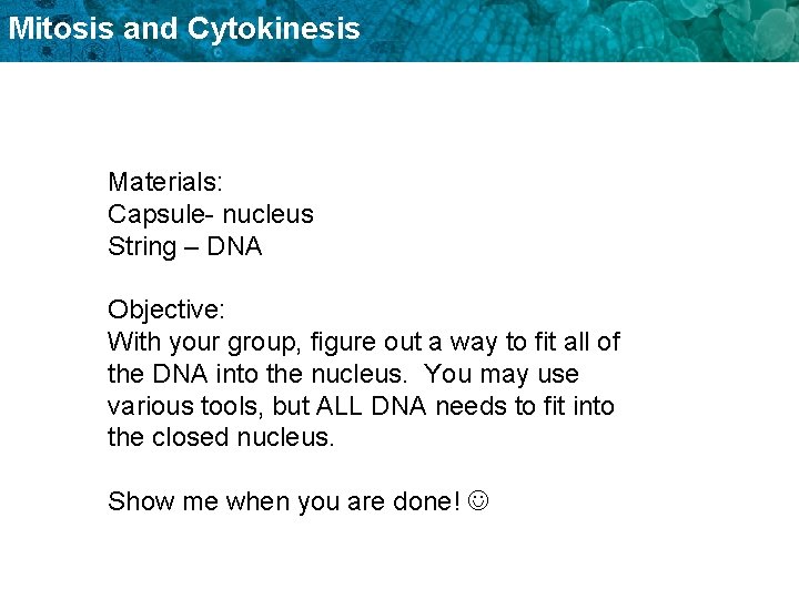 Mitosis and Cytokinesis Materials: Capsule- nucleus String – DNA Objective: With your group, figure