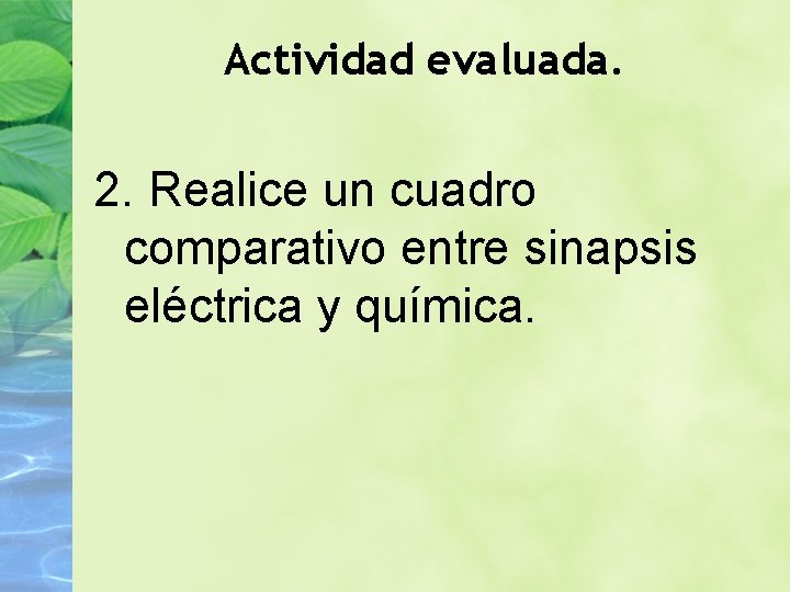 Actividad evaluada. 2. Realice un cuadro comparativo entre sinapsis eléctrica y química. 