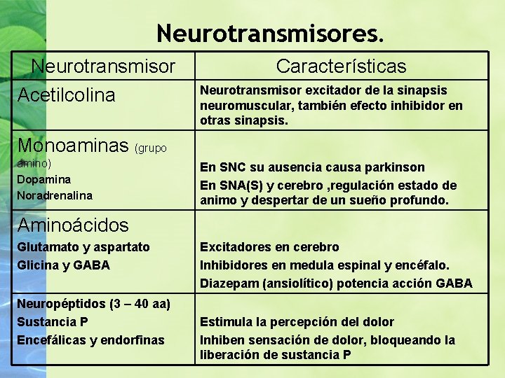 Neurotransmisores. Neurotransmisor Acetilcolina Características Neurotransmisor excitador de la sinapsis neuromuscular, también efecto inhibidor en