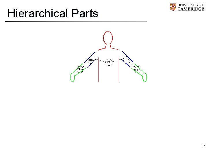 Hierarchical Parts 17 