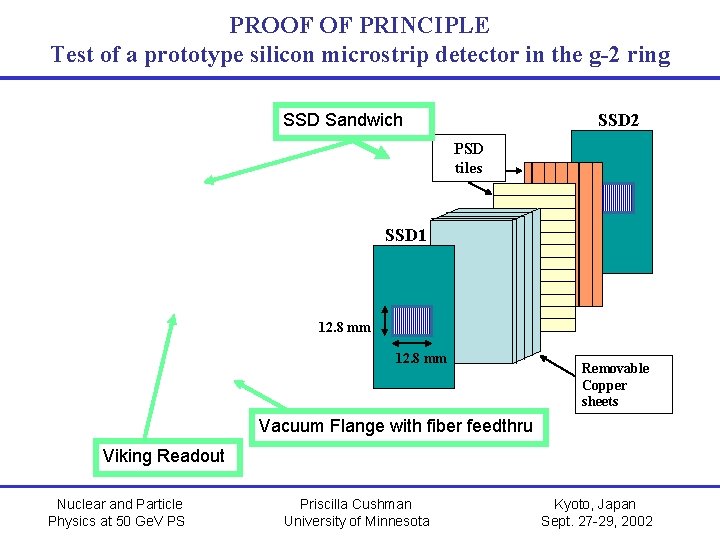PROOF OF PRINCIPLE Test of a prototype silicon microstrip detector in the g-2 ring