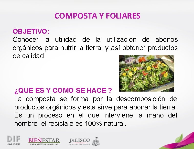 COMPOSTA Y FOLIARES OBJETIVO: Conocer la utilidad de la utilización de abonos orgánicos para