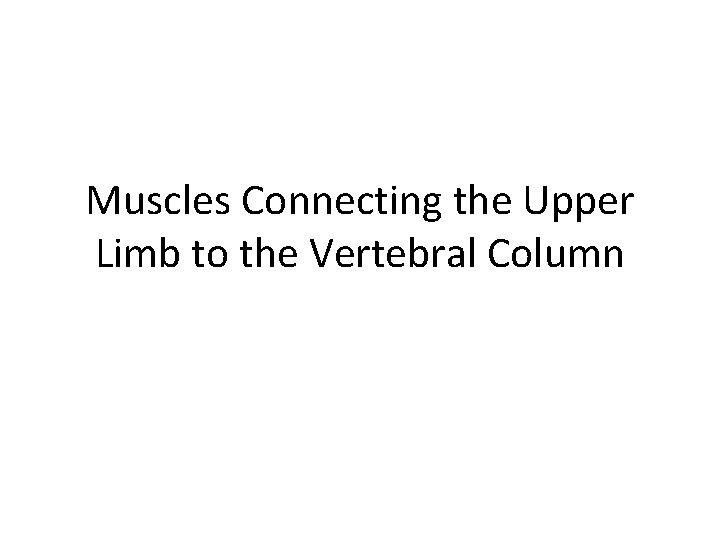 Muscles Connecting the Upper Limb to the Vertebral Column 
