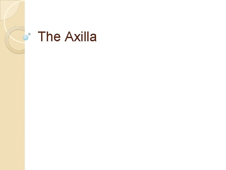 The Axilla 