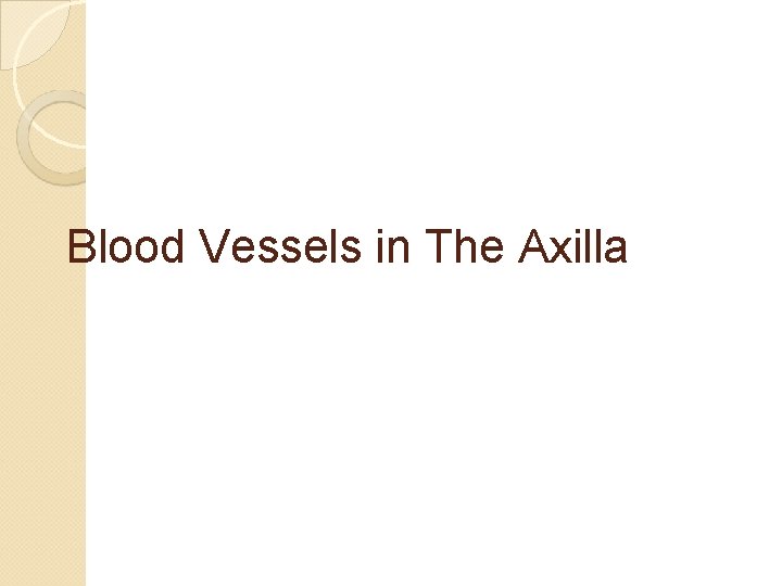 Blood Vessels in The Axilla 