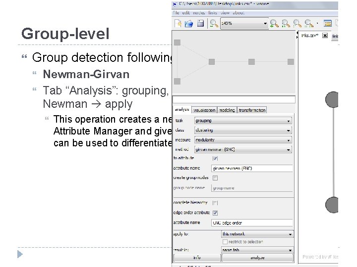 Group-level Group detection following the cohesion strategy. Newman-Girvan Tab “Analysis”: grouping, clustering, modulartiu, girvan.