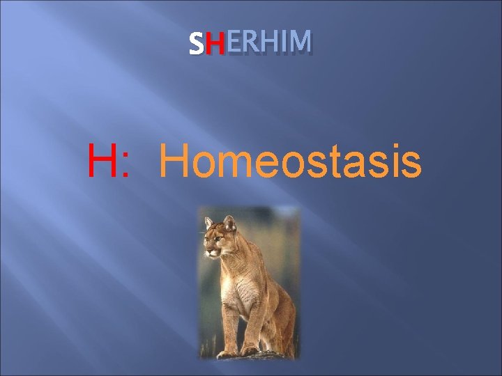 SH ERHIM H: Homeostasis SH ERHIM H: Homeostasis