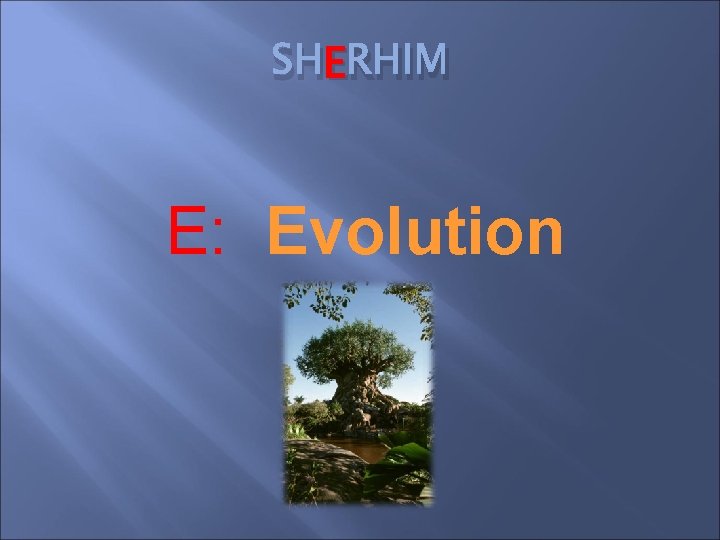 E RHIM SHE E: Evolution E RHIM SHE E: Evolution