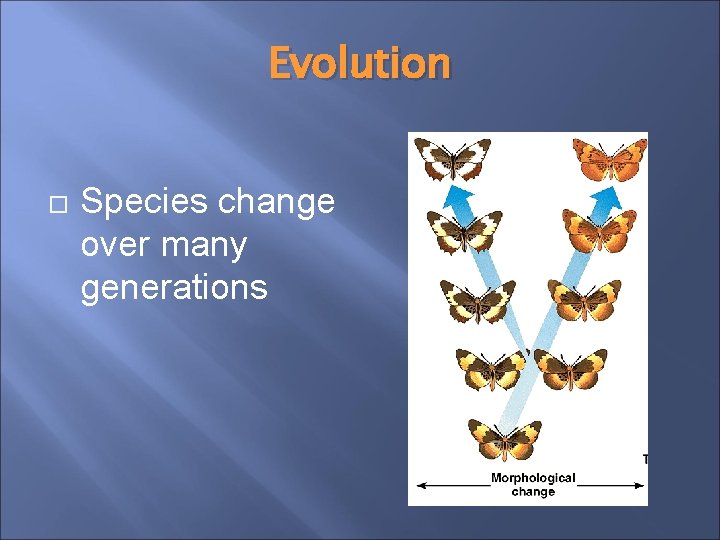 Evolution Species change over many generations 