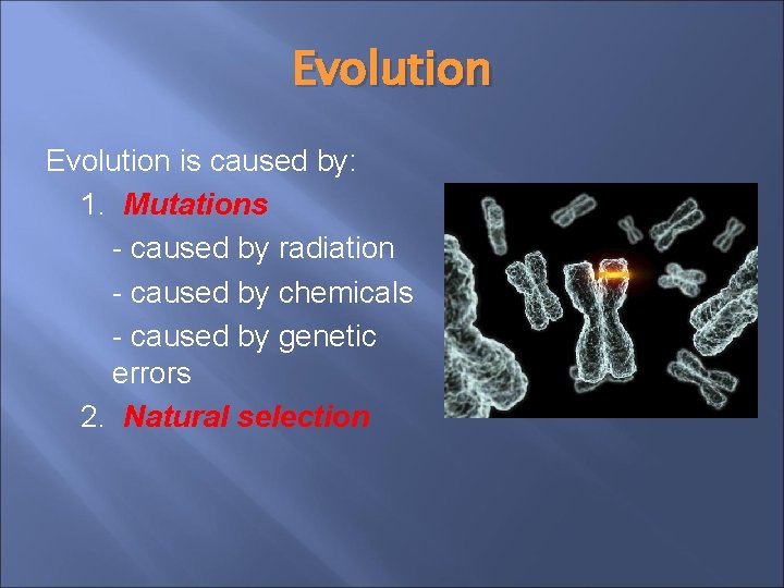Evolution is caused by: 1. Mutations - caused by radiation - caused by chemicals Evolution is caused by: 1. Mutations - caused by radiation - caused by chemicals