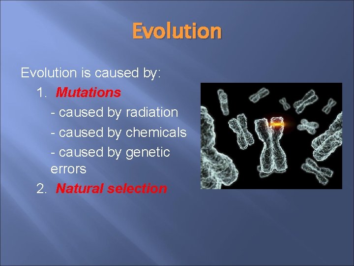 Evolution is caused by: 1. Mutations - caused by radiation - caused by chemicals