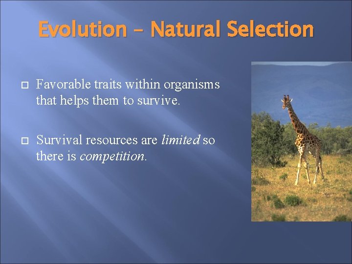 Evolution – Natural Selection Favorable traits within organisms that helps them to survive. Survival