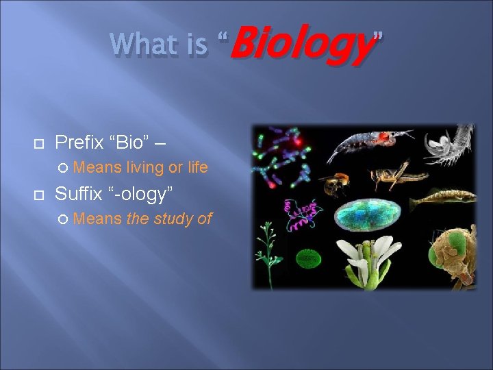 What is “Biology ” Prefix “Bio” – Means living or life Suffix “-ology” Means