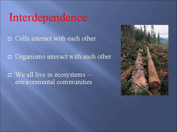 Interdependence Cells interact with each other Organisms interact with each other We all live