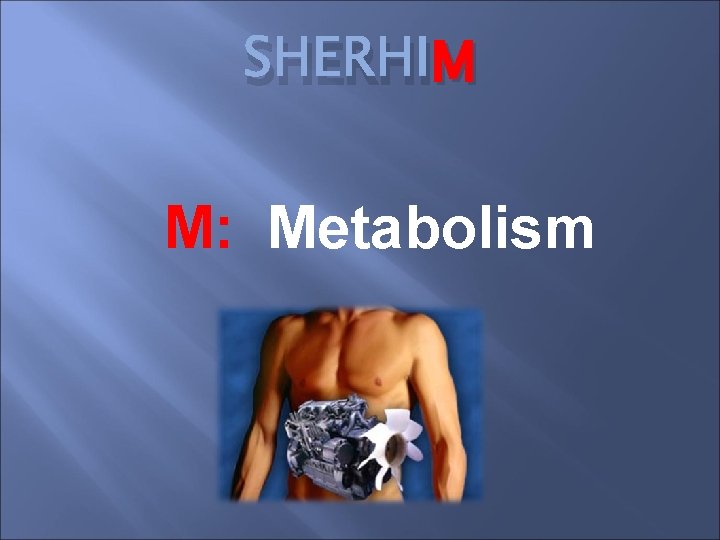 M SHERHIM M: Metabolism 