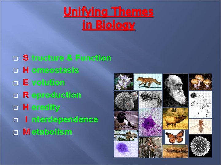 Unifying Themes in Biology S tructure & Function H omeostasis E volution R eproduction