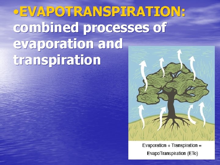  • EVAPOTRANSPIRATION: combined processes of evaporation and transpiration 