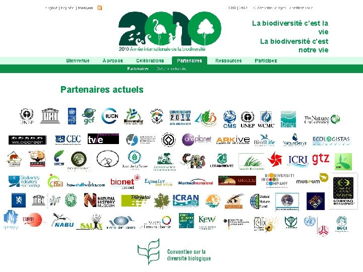 La biodiversité c’est la vie La biodiversité c’est notre vie Partenaires actuels 