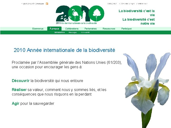 La biodiversité c’est la vie La biodiversité c’est notre vie 2010 Année internationale de