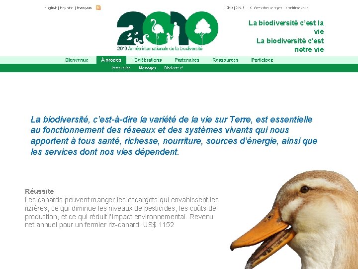 La biodiversité c’est la vie La biodiversité c’est notre vie La biodiversité, c’est-à-dire la