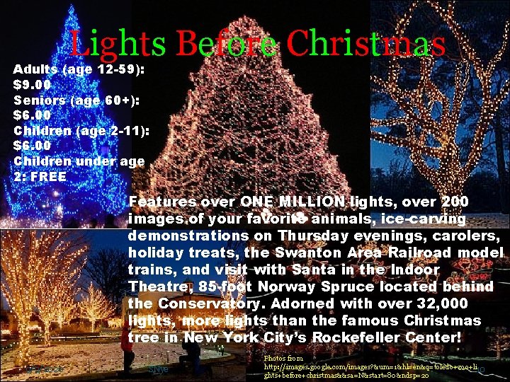 Lights Before Christmas Adults (age 12 -59): $9. 00 Seniors (age 60+): $6. 00