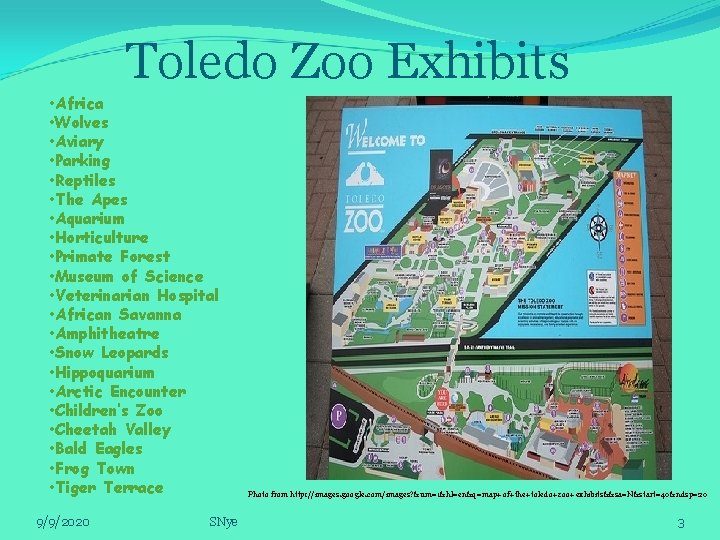 Toledo Zoo Exhibits • Africa • Wolves • Aviary • Parking • Reptiles •