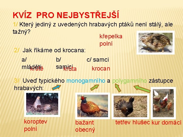 KVÍZ PRO NEJBYSTŘEJŠÍ 1/ Který jediný z uvedených hrabavých ptáků není stálý, ale tažný?