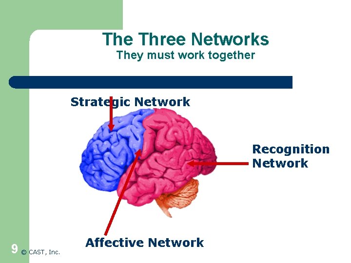The Three Networks They must work together Strategic Network Recognition Network 9 © CAST,