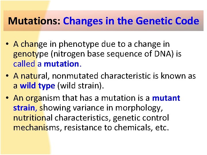 Mutations: Changes in the Genetic Code • A change in phenotype due to a