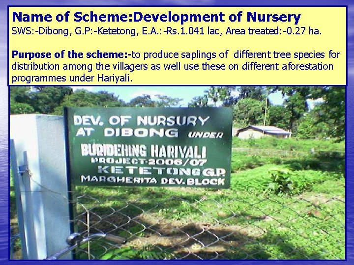 Name of Scheme: Development of Nursery SWS: -Dibong, G. P: -Ketetong, E. A. :