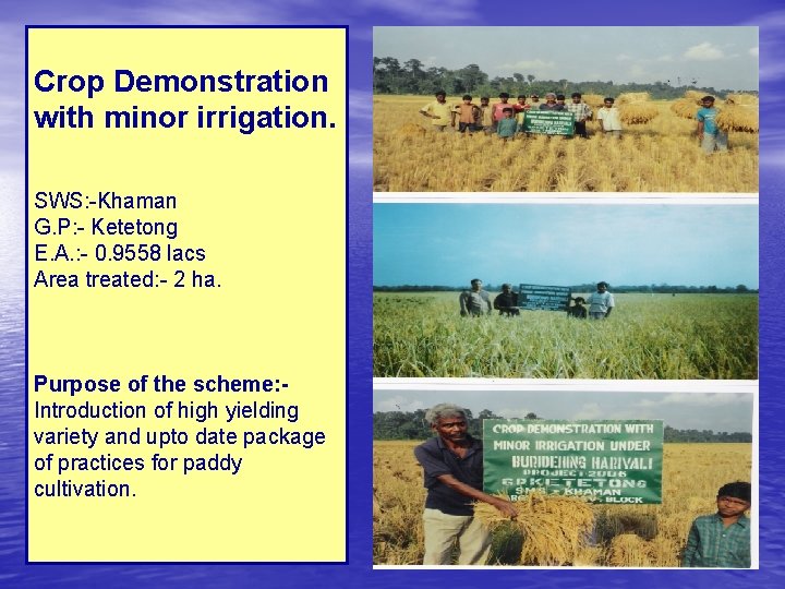 Crop Demonstration with minor irrigation. SWS: -Khaman G. P: - Ketetong E. A. :