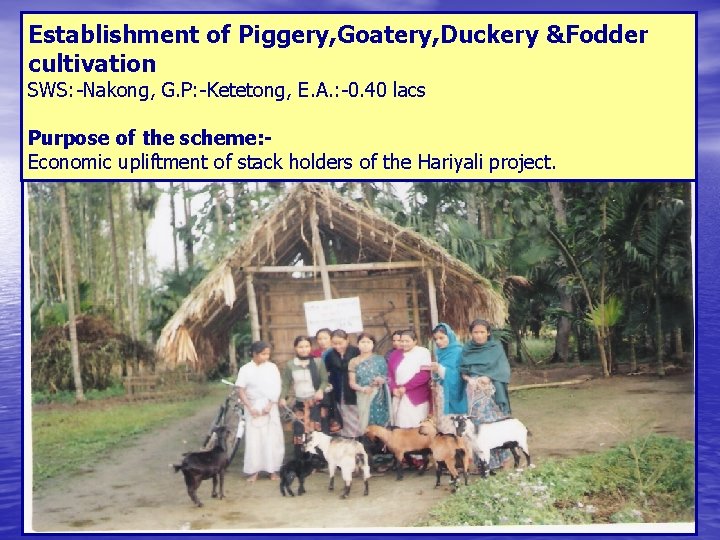 Establishment of Piggery, Goatery, Duckery &Fodder cultivation SWS: -Nakong, G. P: -Ketetong, E. A.