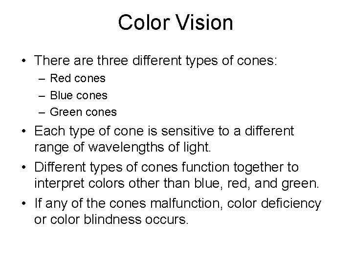 Color Vision • There are three different types of cones: – Red cones –