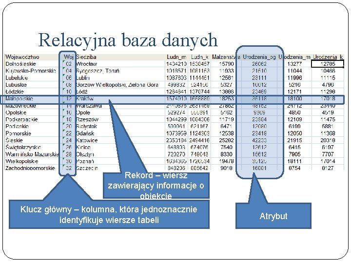 Relacyjna baza danych Rekord – wiersz zawierający informacje o obiekcie Klucz główny – kolumna,