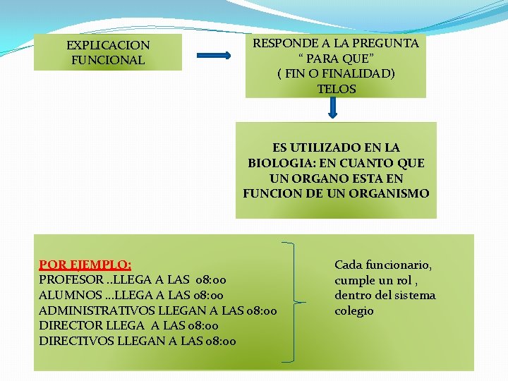 EXPLICACION FUNCIONAL RESPONDE A LA PREGUNTA “ PARA QUE” ( FIN O FINALIDAD) TELOS