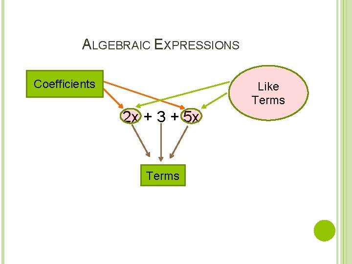 ALGEBRAIC EXPRESSIONS Coefficients Like Terms 2 x + 3 + 5 x Terms 