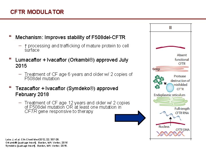 CFTR MODULATOR } Mechanism: Improves stability of F 508 del-CFTR − ↑ processing and