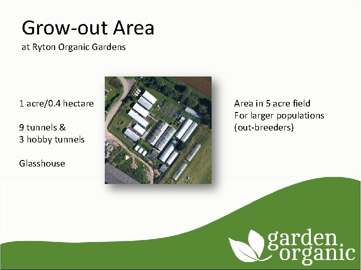 Grow-out Area at Ryton Organic Gardens 1 acre/0. 4 hectare 9 tunnels & 3