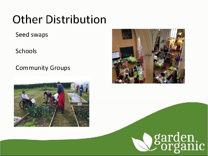 Other Distribution Seed swaps Schools Community Groups 