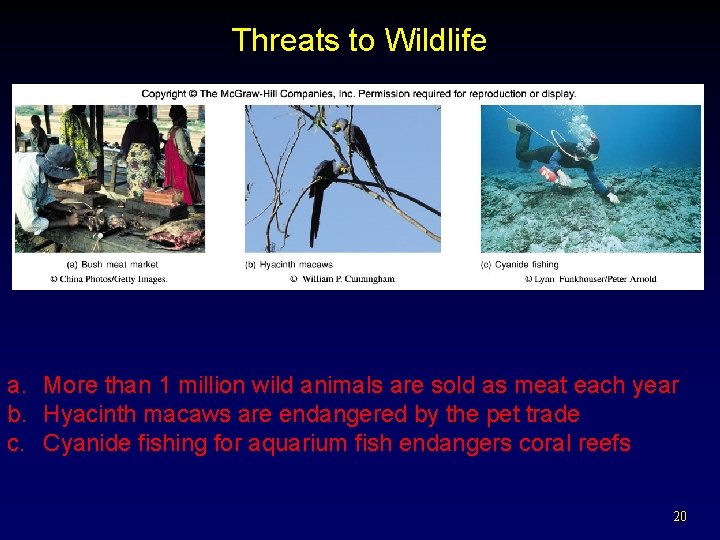 Threats to Wildlife a. More than 1 million wild animals are sold as meat